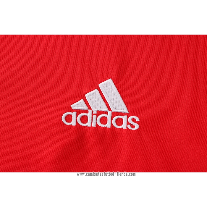 Chandal del Bayern Munich 2021 2022 Manga Corta Rojo